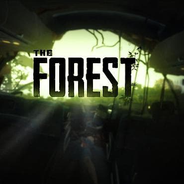 playstation 3 super slim: The FOREST igra za pc (racunar i lap-top) ukoliko zelite da narucite — 1