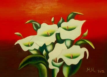 bogumila cvece: Slika, Novo — 3