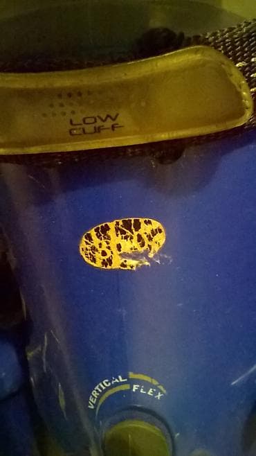 Bicikli: Skije Atomic C9, 180 cm, cipele Atomic C9 br.44,vel.300, i stapovi — 3