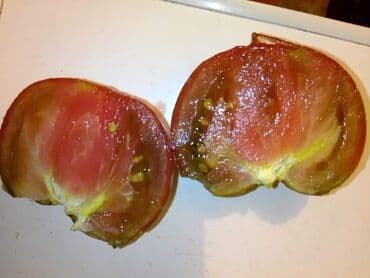 Sve za vikendicu i baštu: Seme paradajza! Crveni jabučar Žuti jabučar Narandžasti jabučar — 8