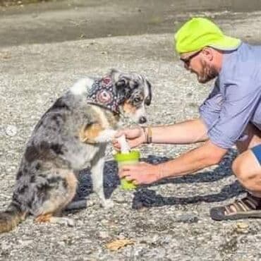 Naši najbolji prijatelji zahtevaju česte šetnje, nakon kojih uglavnom na lalafo.rs Naši najbolji prijatelji zahtevaju česte šetnje, nakon kojih uglavnom