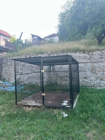 meso za pse leskovac: Prostran i siguran boks za pse, idealan za držanje vašeg ljubimca na — 2