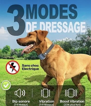 Pet Equipment & Accessories: STALGUARD ST30-Pro DUAL – elektronski komplet za obuku pasa - Komplet — 4