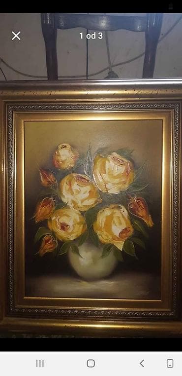 Slika nema tragova ostecenja odlicnom stanju kao i ram — 1