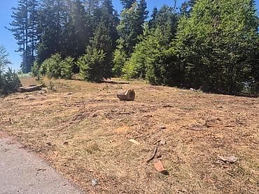 soba: Na prodaju plac 11.3 ari na Zlatiboru pored asfaltnog puta udaljenosti — 1