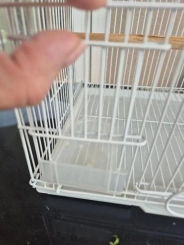 kucica za ptice od drveta: Kavez za ptice – metalni, bele boje - Materijal: čelična žica sa — 2