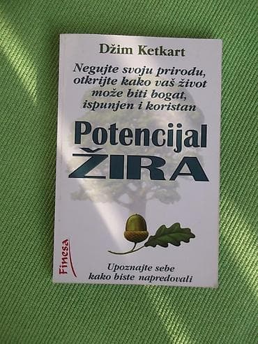 legendarni automobili broj 1: Potencijal žira - Džim Ketkart. Nova! Šaljemo Beksom — 1