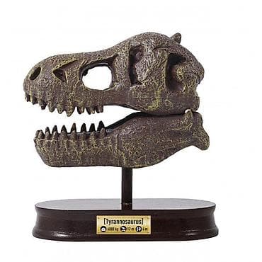 Kreativne i edukativne igračke: Dino skelet 104872 Buki – kreativni set za male paleontologe Opis: - — 5