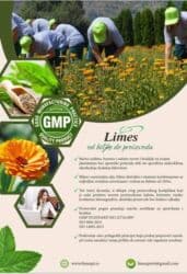 kožna obuća: Dragi prijatelji, Želim da se ukratko predstavim svima koji su mi se — 4