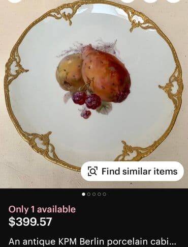 Musical Instruments: Tanjir KPM 1924 godina,dekorativni Julius Menzela,rucno oslikan. Sve — 15