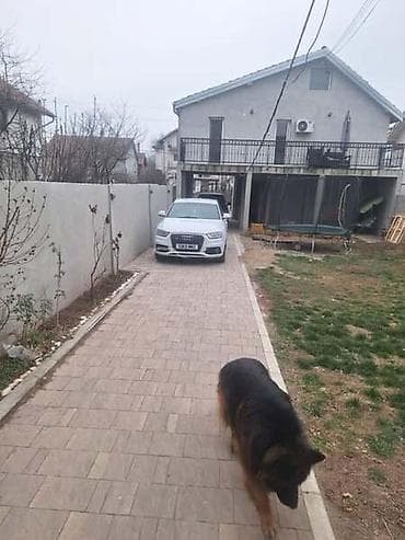audi q 80: HAUBA ZA AUDI Q3 OD 2011. DO 2015. GOD. | AUDI Q3 2.0TDI QUATRO — 4