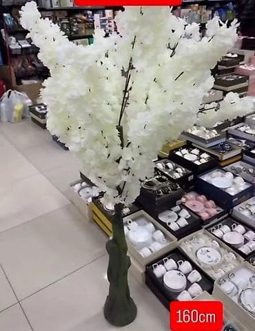 Dekorativno drvo trešnje – 160 cm - Visina: 160 cm (označeno na na lalafo.rs Dekorativno drvo trešnje – 160 cm - Visina: 160 cm (označeno na