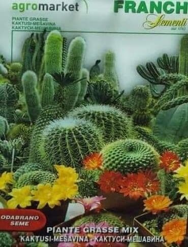 seme magnolije: Kaktusi seme mix
Pakovanje 0.1gr
Cena:650din — 3