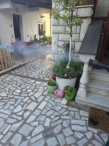Parocistac Lux sa svim dodacima odličan donet iz Nemačke