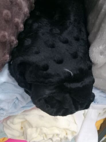 Ćebad i pokrivači: Prekrivač, ćebe po meri.
Sa druge strane može posteljno platno — 2