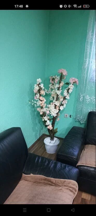 karcher puska za pranje: Pot — 1