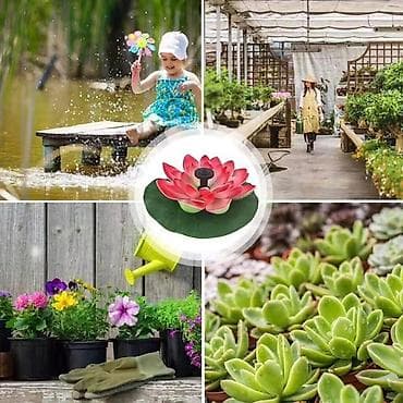 termos solja za kafu: ⛲️ Lotos 🪷Solarna fontana ⛲️ 🛒 Cena: 2500dinara❤️‍🔥 🌴Fontana je mala — 2