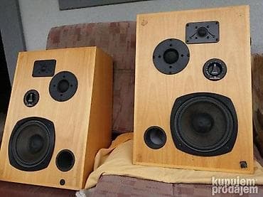 kompjuterski delovi: Peerless 8" Denmark- delovi -basovi 8 inca; 8 oma; platnene kalote=50e — 3