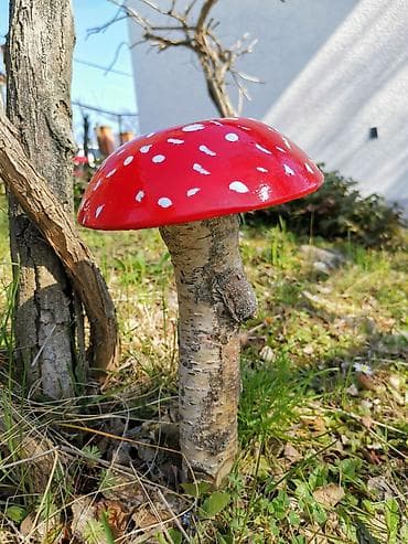 Prehrambeni proizvodi: Ukrasne drvene pečurke za baštu i dvorište breza gips farbano — 2