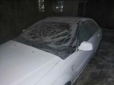 sigurnosni pojasevi za auto cena: V3 Pokrivač sa magnetima za vetrobransko staklo Cerada sa — 4