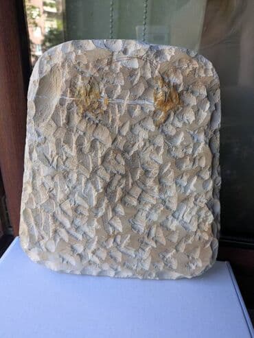 Donji delovi trenerke: Slika — 3