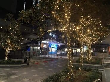 Solarne Lampice CENA 5m: 1700 dinara Ukrasite dvoristevrtterasu