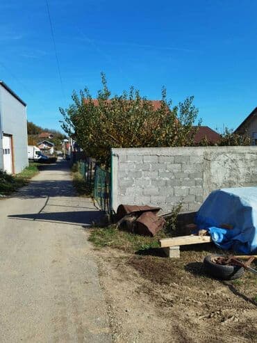 5 ares, Vlasnik — 5