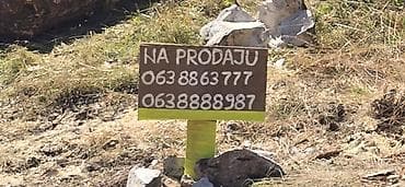 sobe canj izdavanje: Parcela 11.3 ari na obronku uz asfaltni put, okruženo četinarskom — 6