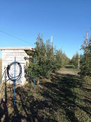 Placevi: Poljoprivredno zemljište — 12