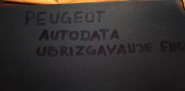 vidan ubice mog oca: Tehnicko uputstvo za direktno ubrizgavanje za Peugeot A4 format, eng — 2
