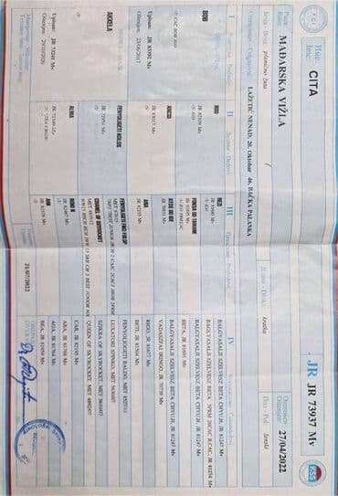 ovčari psi: Mađarska vižla štenci oštenjeni 27.12.2023. na prodaju. U ponudi 4 — 4