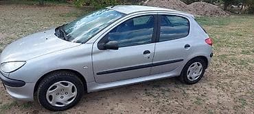 VOZACEVA VRATA SIVA ZA PEUGEOT 206 | imam sve delove za peugeot 206