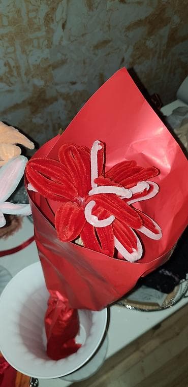 palme sobne: Ostale kućne biljke — 4