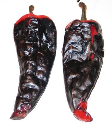 coca cola mini frizider: Čuškopek (ćuškopek) - pekač za papriku novo novo novo neotpakovano 🌶🌶🌶 — 6