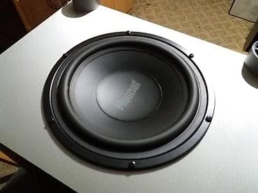 Aktivni wufer Magnat 8 inca(br.4)-sivi ispravan wufer, lep zvuk ima at lalafo.rs Aktivni wufer Magnat 8 inca(br.4)-sivi ispravan wufer, lep zvuk ima