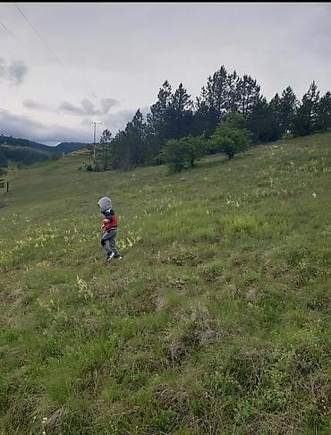 prodaja kuce cacak: ŠLJIVOVICA – ZLATIBORSKA OAZA MIRA (Opština Čajetina) ? ​Prodajem dve — 3