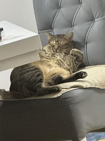 ideal helanke: 🌸 8. MART – SAVRŠEN POKLON JE PARFEM! 🌸 Iznenadite posebnu ženu — 8