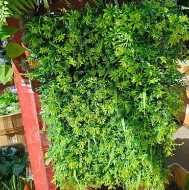 pistolj za eksere na struju cena: Vestacko zelenilo, paneli i dodaci za ukrasavanje prostora, kuce — 9