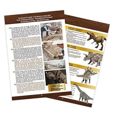 Kreativne i edukativne igračke: Dino skelet 104872 Buki – kreativni set za male paleontologe Opis: - — 4