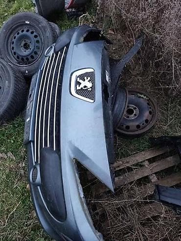 inercioni prekidac pezo 307: BRANIK ZA PEUGEOT 307 OD 2003. DO 2008. GOD — 2
