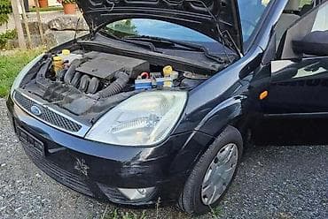 ford p251a: LIMARIJA ZA FORD FIESTA OD 2002. DO 2015. GOD. | SMEDEREVSKA PALANKA — 6