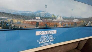 Houseplants: Print, 34 x 140 cm, Used — 6