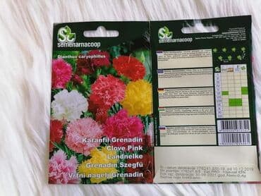 Karanfil seme
Cena 500 din