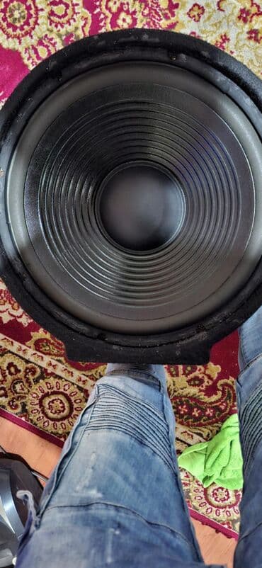 zvučnici sa mikrofonom: Speakers & Sound Systems — 6