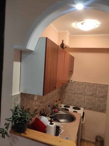 Apartments: 1 bedroom — 12