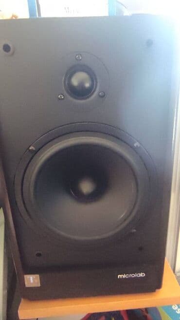 Microlab Solo 6c Solo 6 serija (po meni najbolja, zajedno sa solo 16