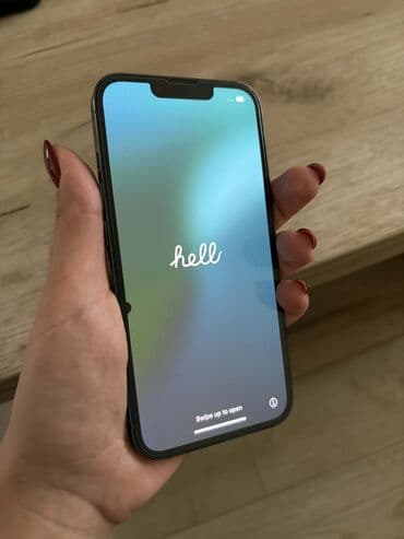 Apple iPhone iPhone 13 Pro, Graphite, Face ID