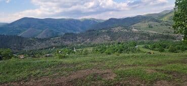 crvenka prodaja kuca: 40 ares, Vlasnik — 4