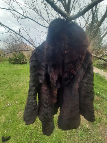 bunde nerc beograd: L, Sa postavom, bоја - Braon — 2