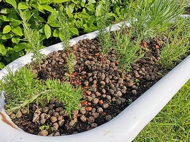pec sa rernom na drva: Žardinjera kada retro odvod ruzmarin i lavanda hidro granule — 3